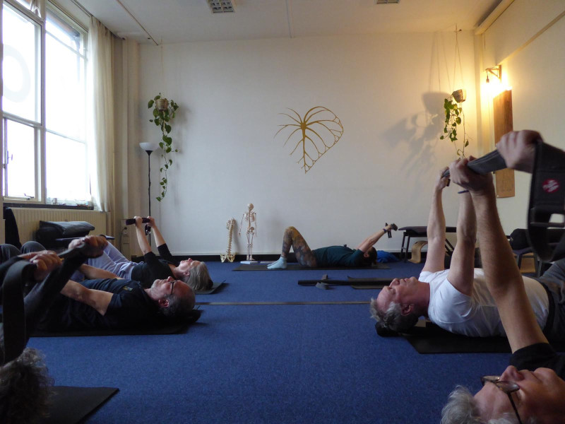 Critical Alignment Yogales (90 min)