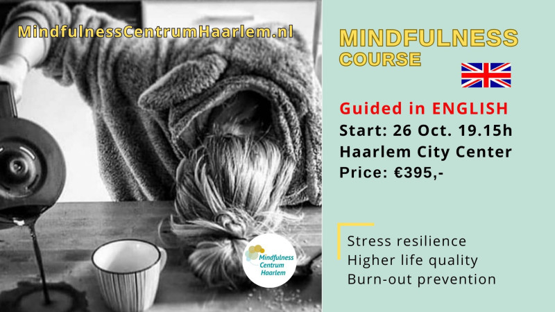English guided Mindfulness course (MBSR), Haarlem centrum