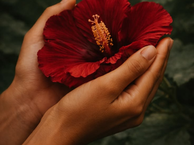Womb Healing - The Ritual