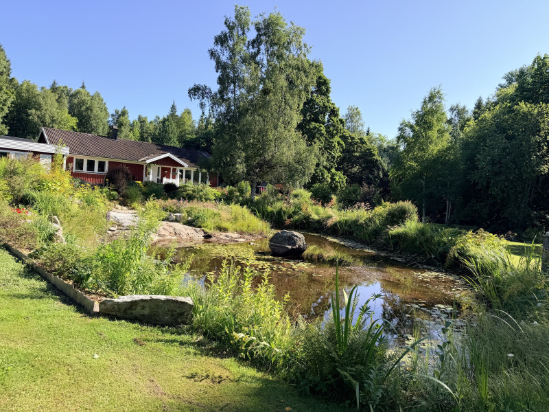 Terug naar je Oorsprong - 6-daagse retreat in Zweden