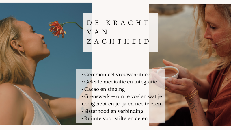 De Kracht van zachtheid