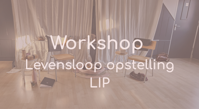 Workshop Levenslijn opstelling (LIP)