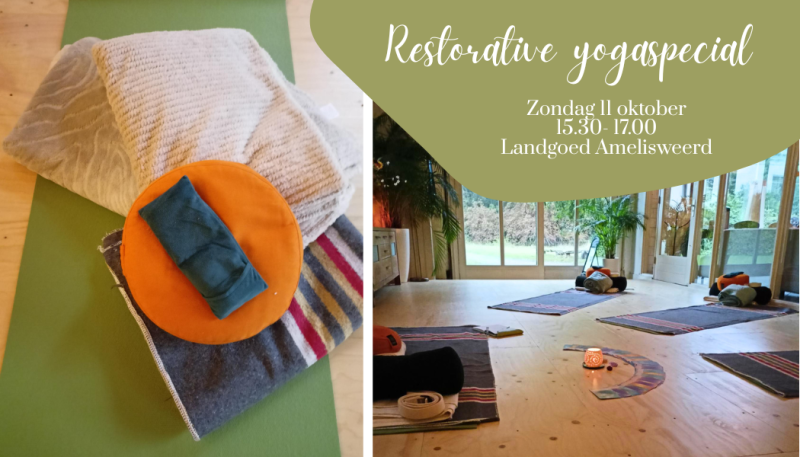 Restorative yogaspecial | op landgoed Amelisweerd bij Utrecht