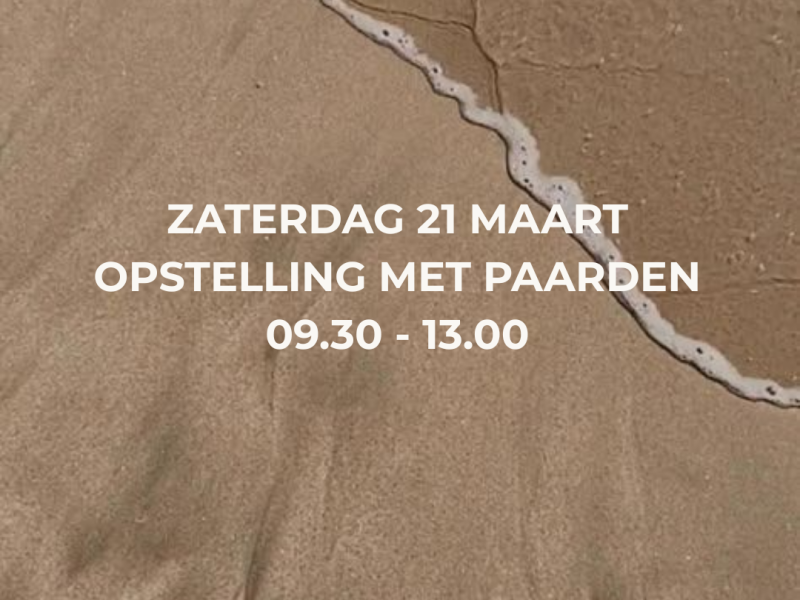 Familieopstelling met paarden en representanten