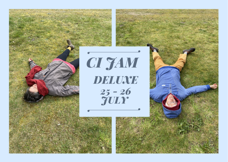 Contact Improvisatie Jam DeLuxe (bij Breda)