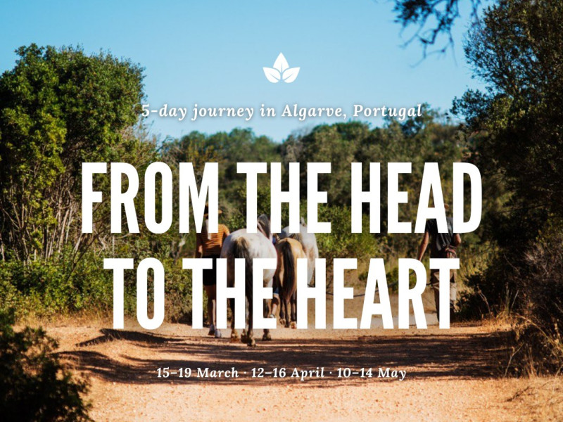 From the head to the Heart - 5 daagse journey towards your true self