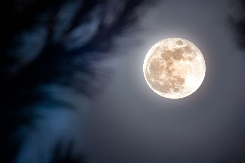 Volle Maan Wandeling + Astrologische uitleg
