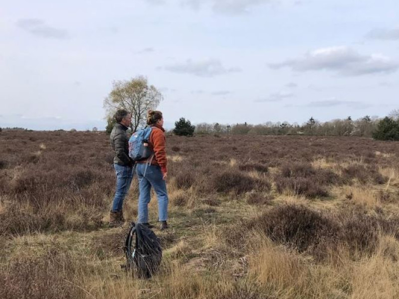 Levenscoaching in de natuur - Nature, Therapy