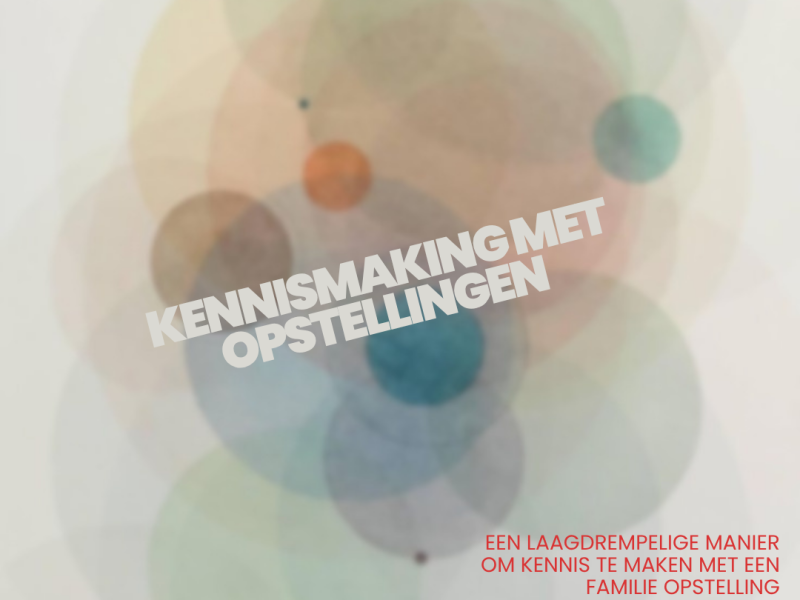 Kennismaken met systemisch werk