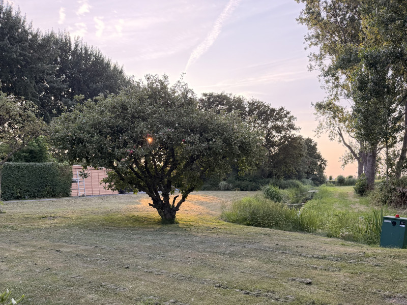 Ademcirkel in de natuur