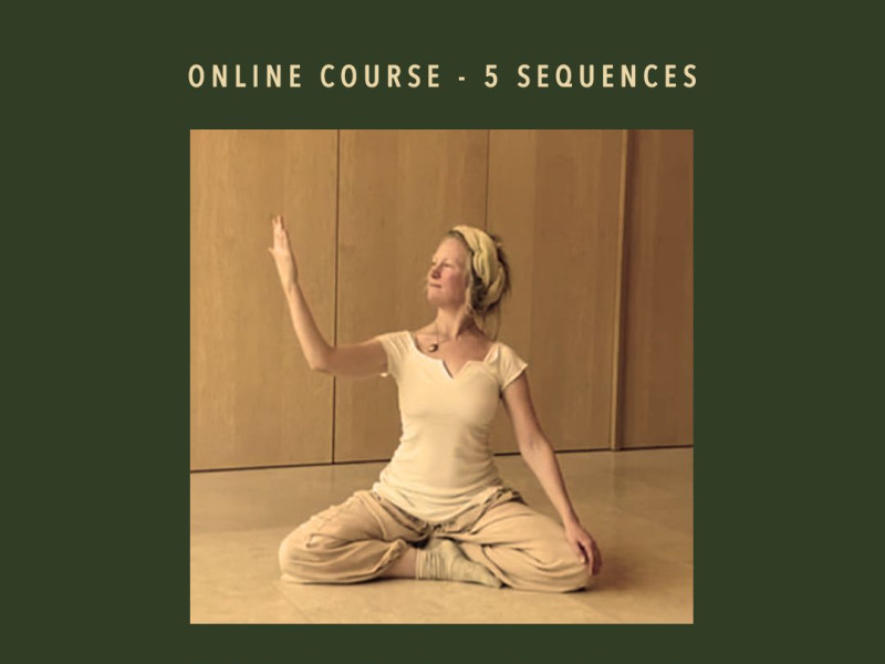 SUFI HEALING MOVEMENTS