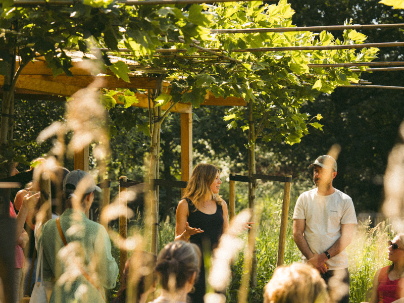 Wildplukken, koken & tafelen in het groen 🌿