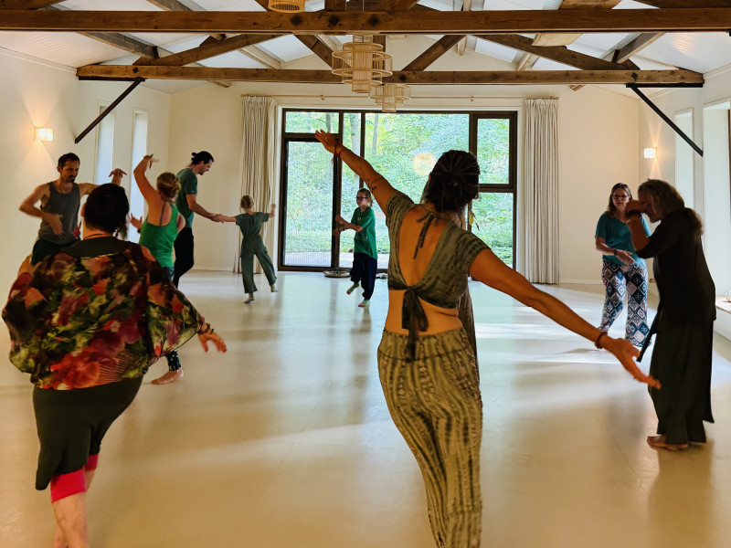 SuryaSoul Chakra dans