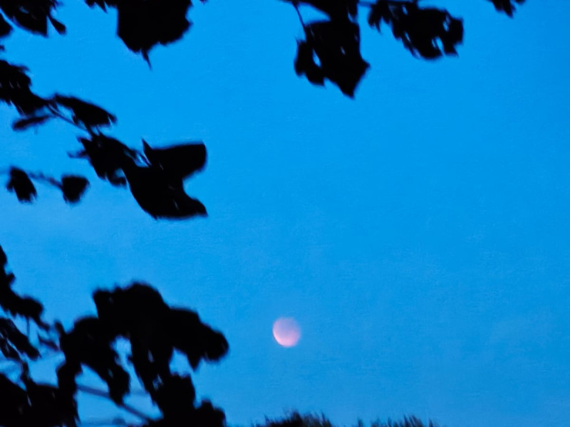 Vollemaan ceremonie  - Cérémonie de cacao, Pleine lune, Cérémonie du feu