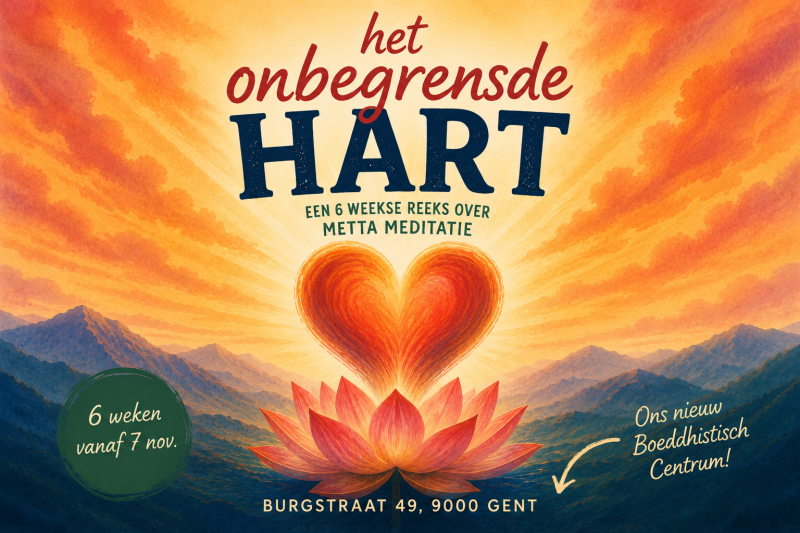 Meditatie reeks: Het onbegrensde hart 💗