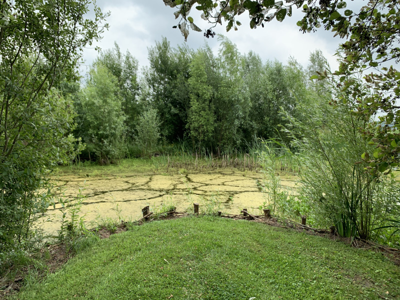 Zomer Tai-Chi in natuurtuin + rondleiding