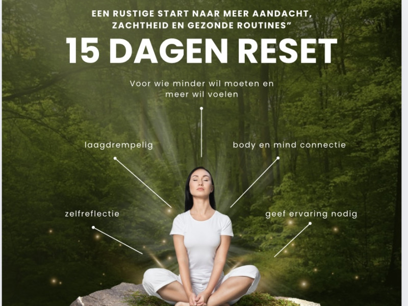 15 dagen reset bundel - Conscience corporelle, Développement spirituel, Guérison