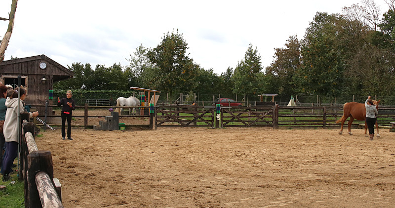 Trainingsdag – Werk vanaf de grond | 7 november 2026