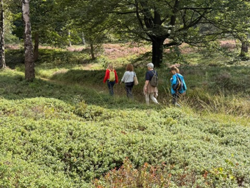 Eén daagse Veluwe Retraite