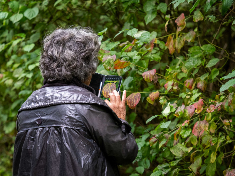 Mindful Natuurfotografie