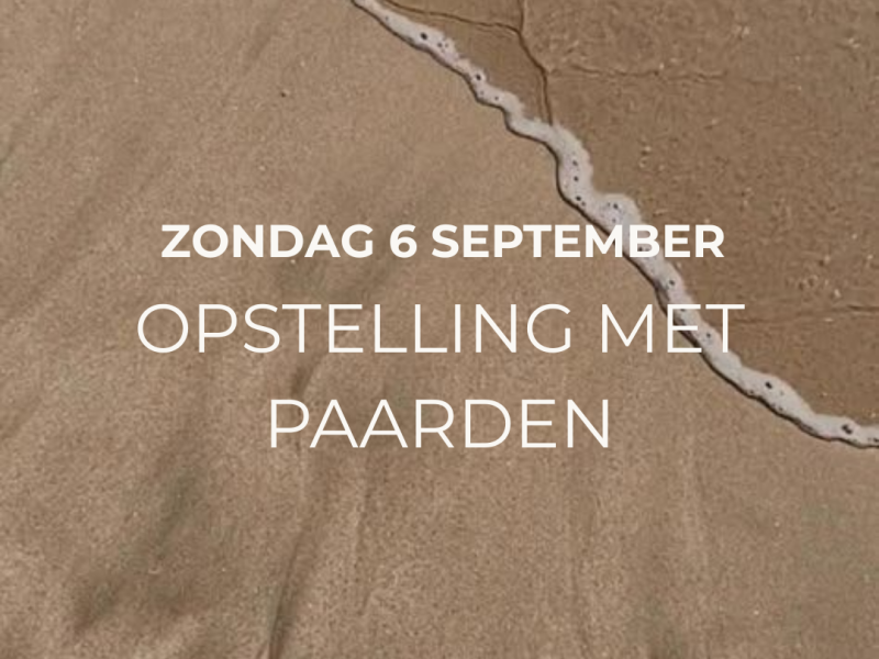 Familieopstelling met paarden en representanten