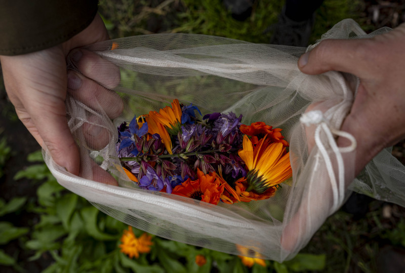 Workshop wildplukken met Maartje
