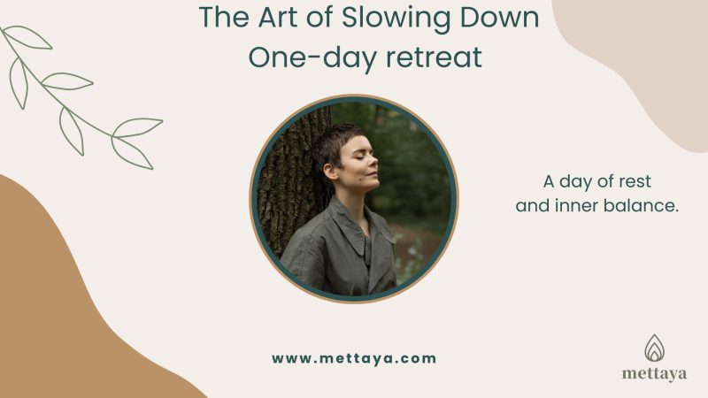 The Art of Slowing Down - One-day retreat (EN)