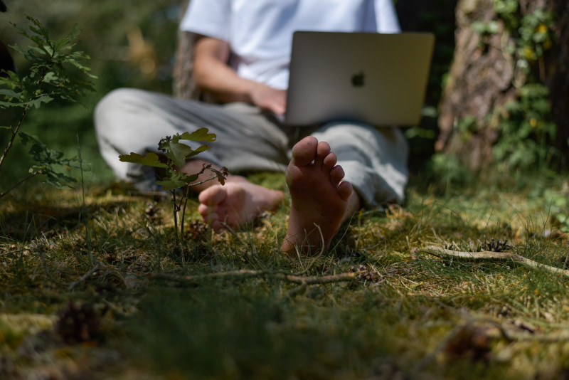 Founders reset in het bos | Clear thinking for entrepreneurs in nature
