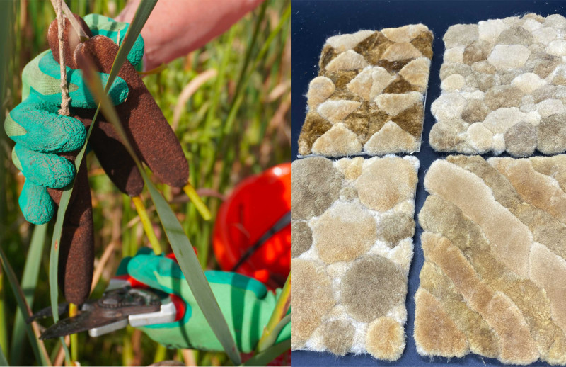 Van moeras plant tot mode - Workshop + Lezing