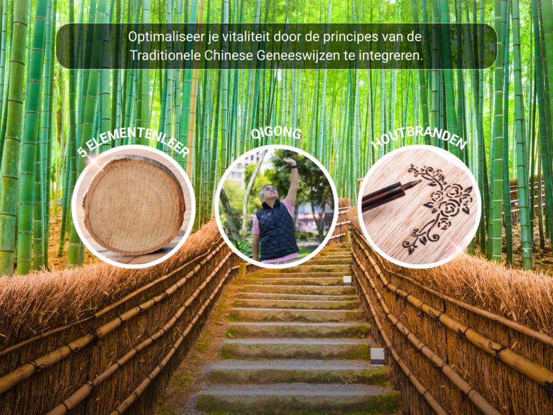 Workshop het element hout in de Traditionele Chinese Geneeskunde