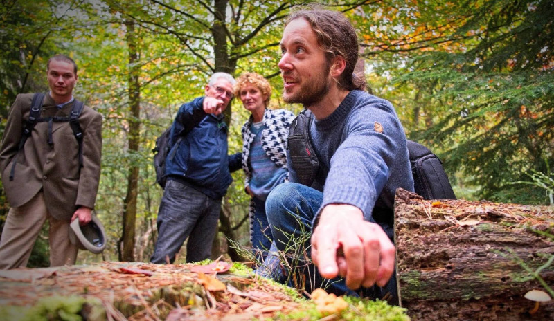 Workshop: Eetbare paddenstoelen zoeken met de Paddenstoelenman - Naturaleza, Nutrición