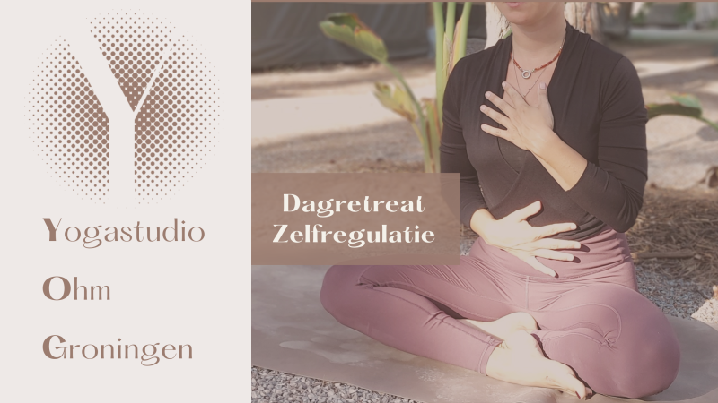 Dagretreat Zelfregulatie