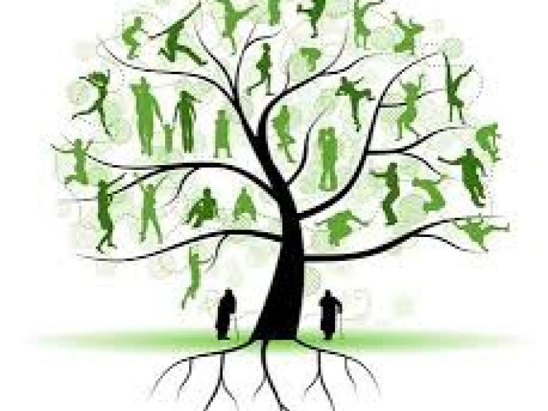 SYSTEMISCHE (Familie) OPSTELLINGEN Leusden Thema:Moeder-Kind relatie