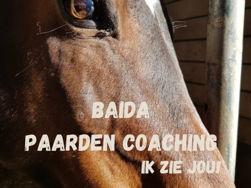 Holistisch traject Balans
