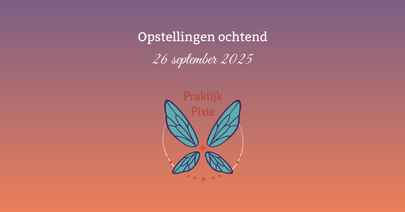 Opstellingen ochtend Praktijk Pixie