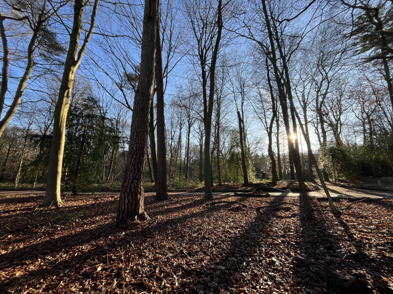 Silent Sunday met Annemieke Rodenburg
