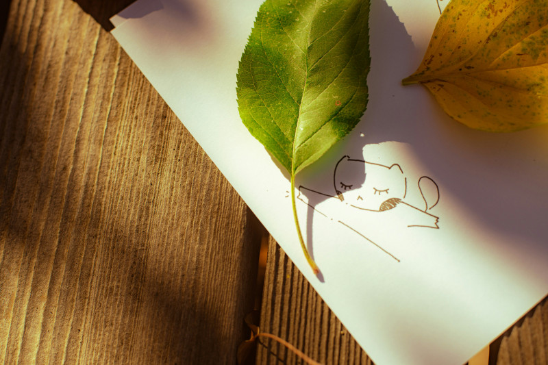 What is Your Healthy Place? - Creative Self-Exploration Workshop