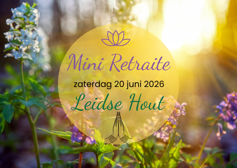 Mini Retraite