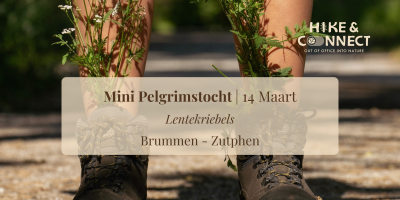Mini Pelgrimstocht ~ Lentekriebels - Hiking, 1-Day Retreat, Nature