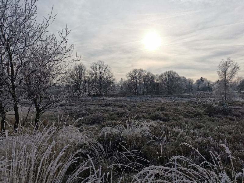 Ont-moet wandeling - Winter in zicht 