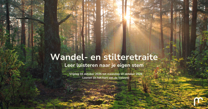 Wandel- en stilteretraite op de Veluwe