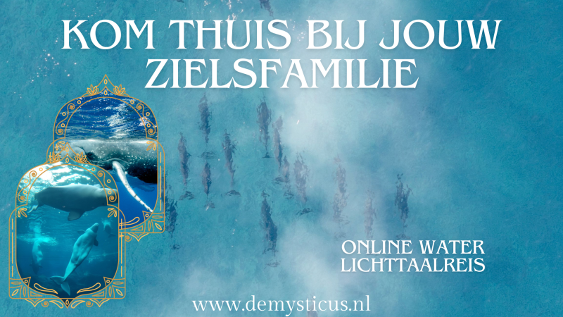 Kom thuis bij jouw zielsfamilie - Water lichttaalreis