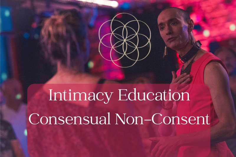 Intimacy Education: Consensual Non-Consent - Conscious Sexuality, Schaduwwerk, Queer