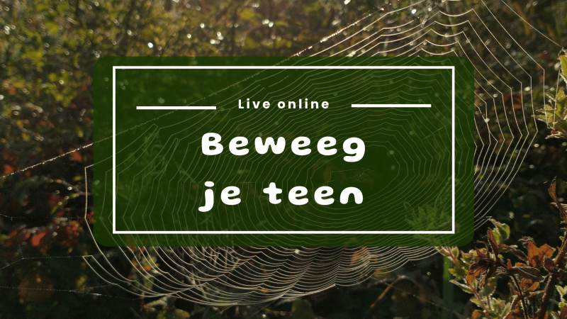 Bewust in Beweging - live online Bewegingsmoment - Lichaamswerk, Lichaamsbewustzijn
