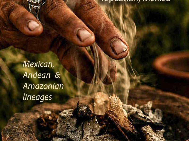 Ancestral Medicines & Teachings Retreat (Mexico)