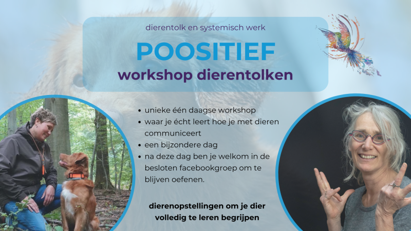 Workshop Dierentolken Poositief - Familieopstellingen, Systemisch werk, Cursus