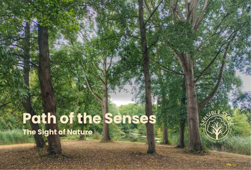 The Sight of Nature - Natuur, Bosbad - Shinrin Yoku, Ontspanning