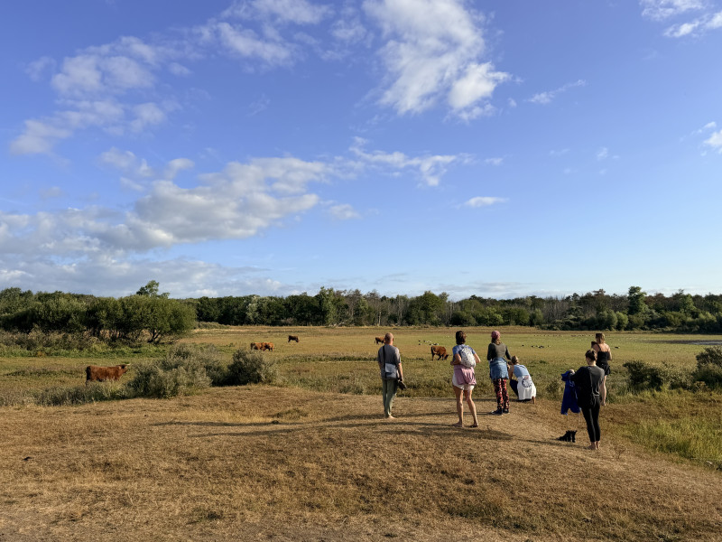 Yoga & Adem Retreat