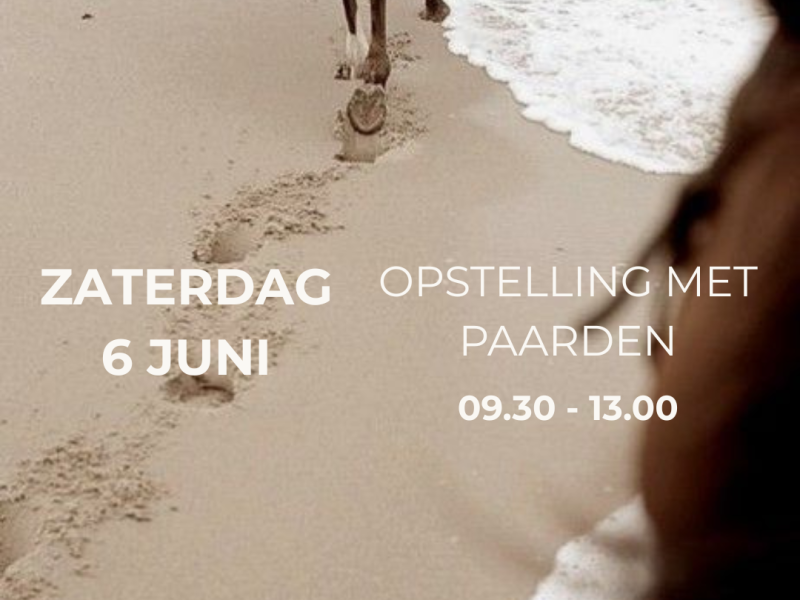 Familieopstelling met paarden