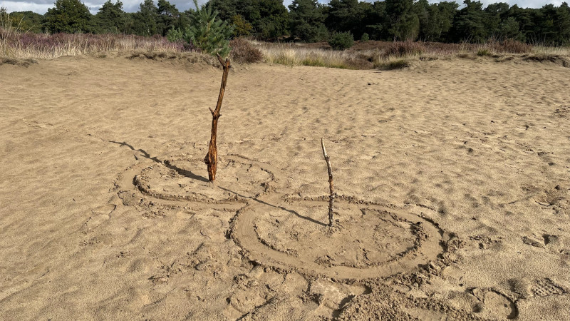 8/8 van 8 tot 8: relatieopstellingen in de natuur